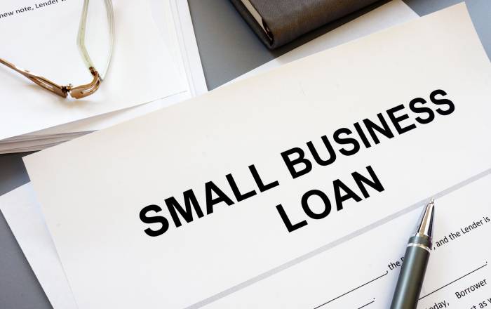 Bounce Back Loan scheme aimed at small businesses in the UK