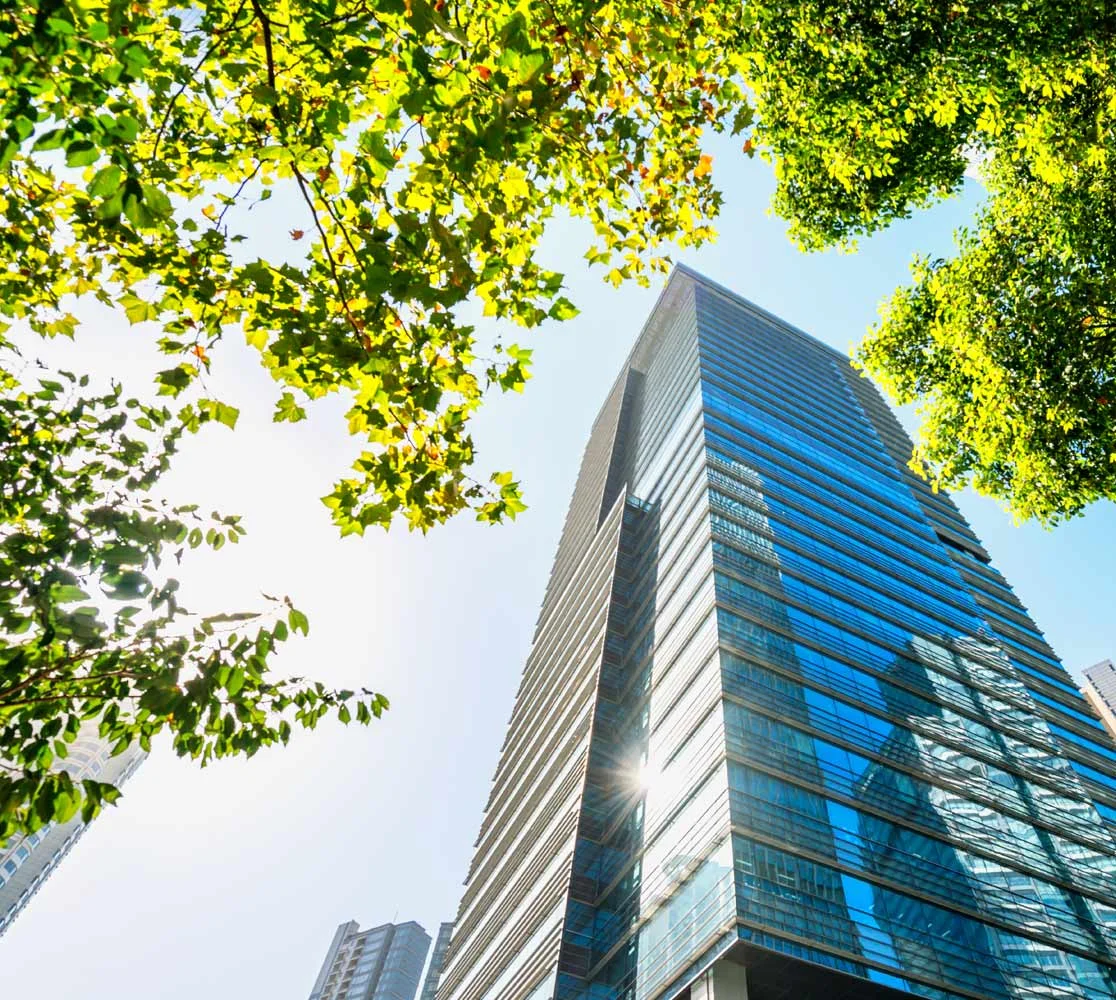 Introduction to limited companies
